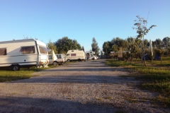 Kamp-Novi-Sad-10